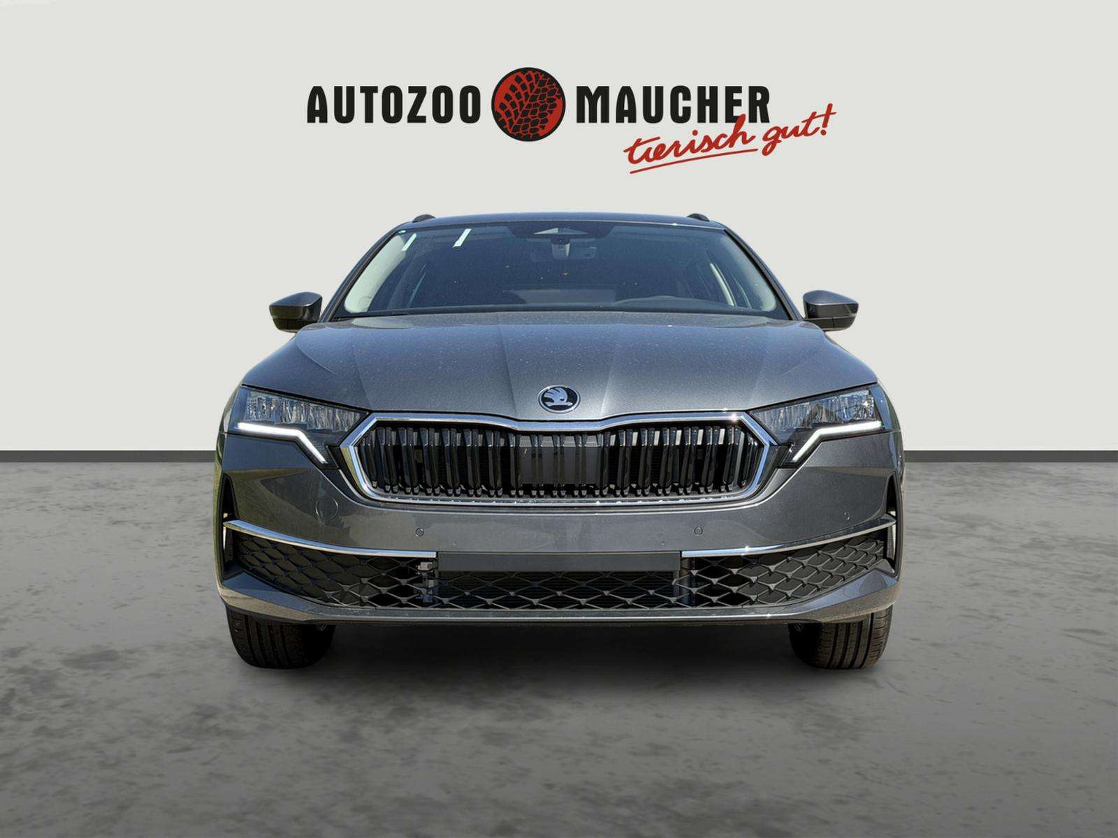 Fahrzeugbild eines Skoda Octavia
