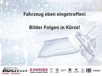 Bild Skoda ELROQ