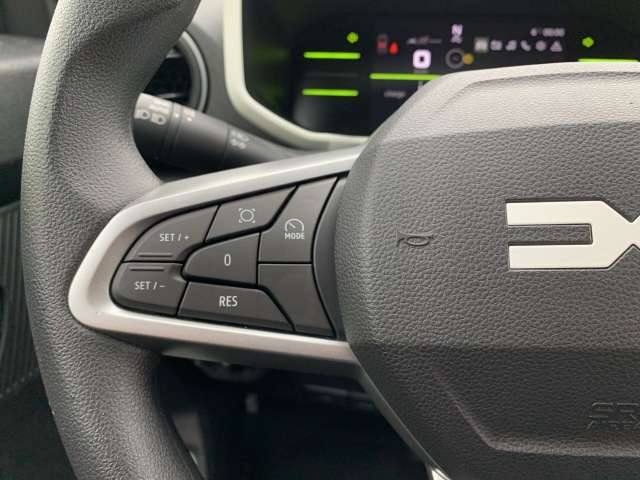 Fahrzeugbild eines Dacia Spring