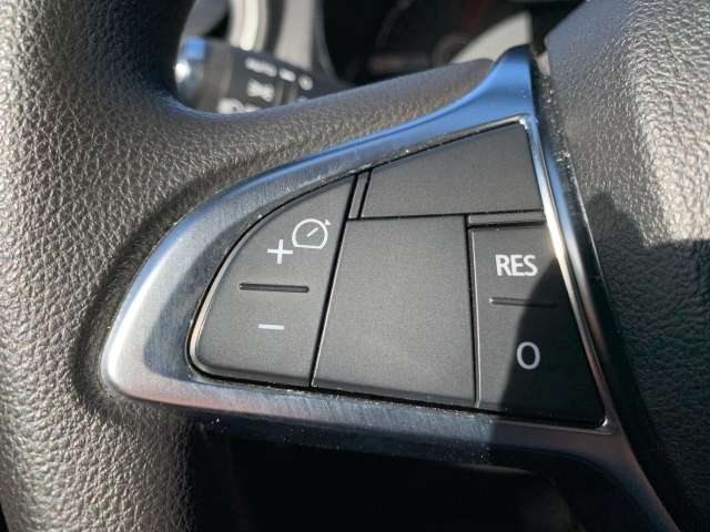 Fahrzeugbild eines Dacia Spring