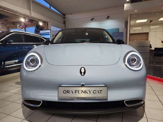 Fahrzeugbild eines GWM Ora 03