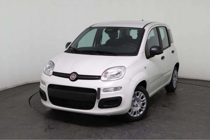 Fahrzeugbild eines Fiat Panda