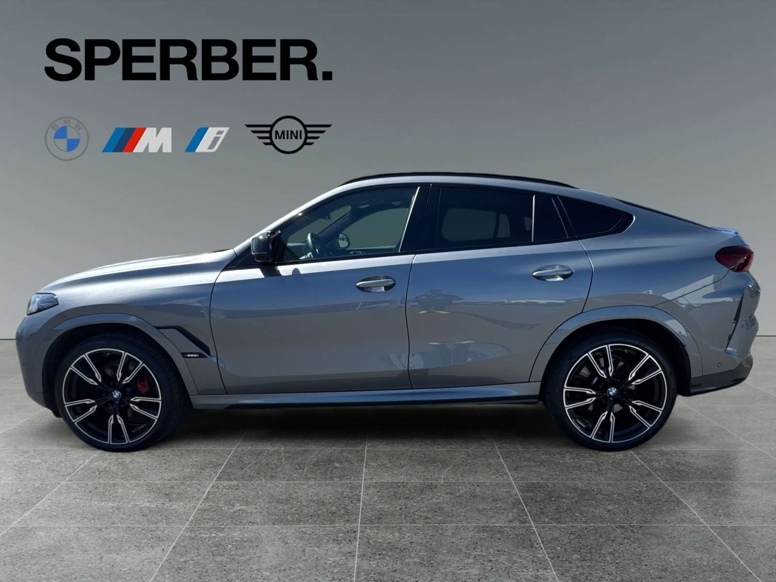 Fahrzeugbild eines BMW X6