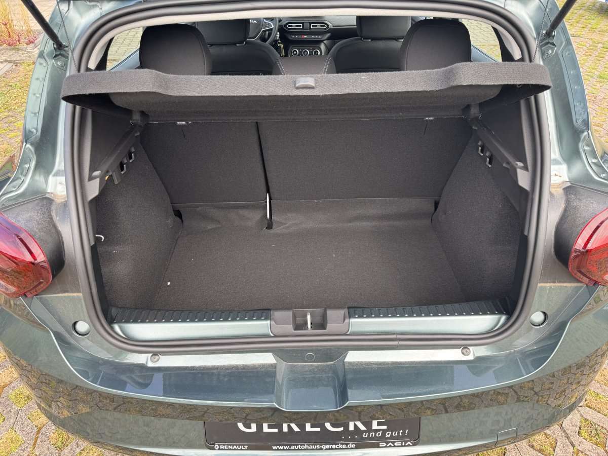 Fahrzeugbild eines Dacia Sandero