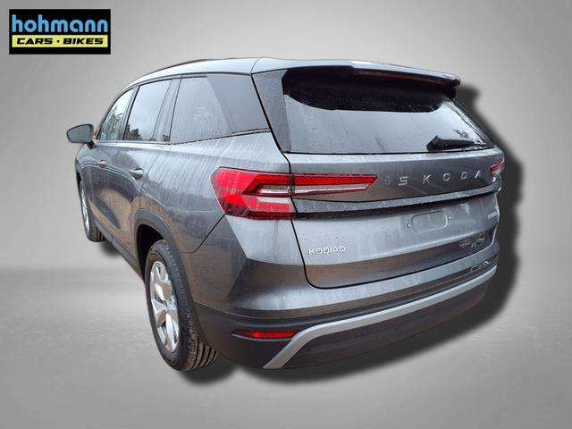 Fahrzeugbild eines Skoda Kodiaq