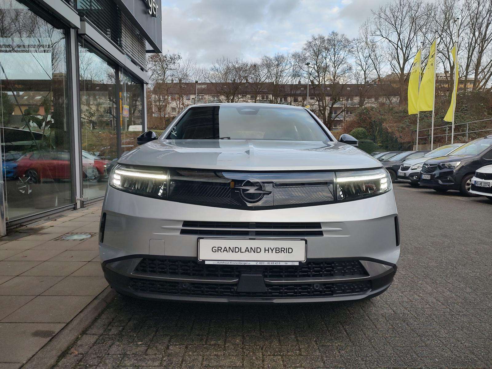 Fahrzeugbild eines Opel Grandland X