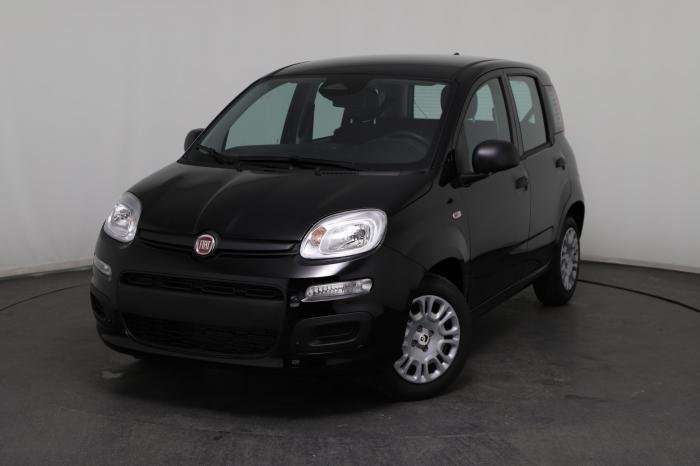 Fahrzeugbild eines Fiat Panda