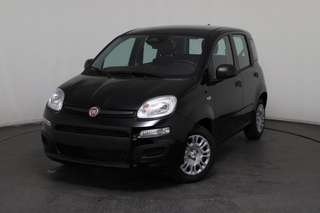 Schräge Frontansicht auf einen Fiat Panda , freigestellt