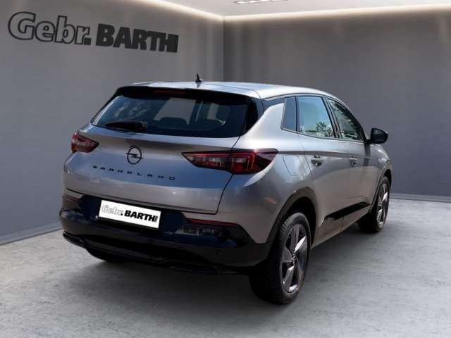Fahrzeugbild eines Opel Grandland X