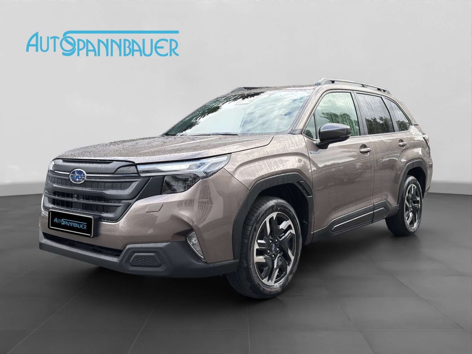 Fahrzeugbild eines Subaru Forester