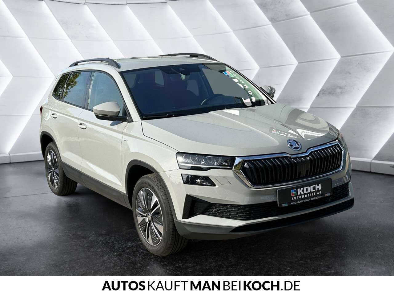 Fahrzeugbild eines Skoda Karoq
