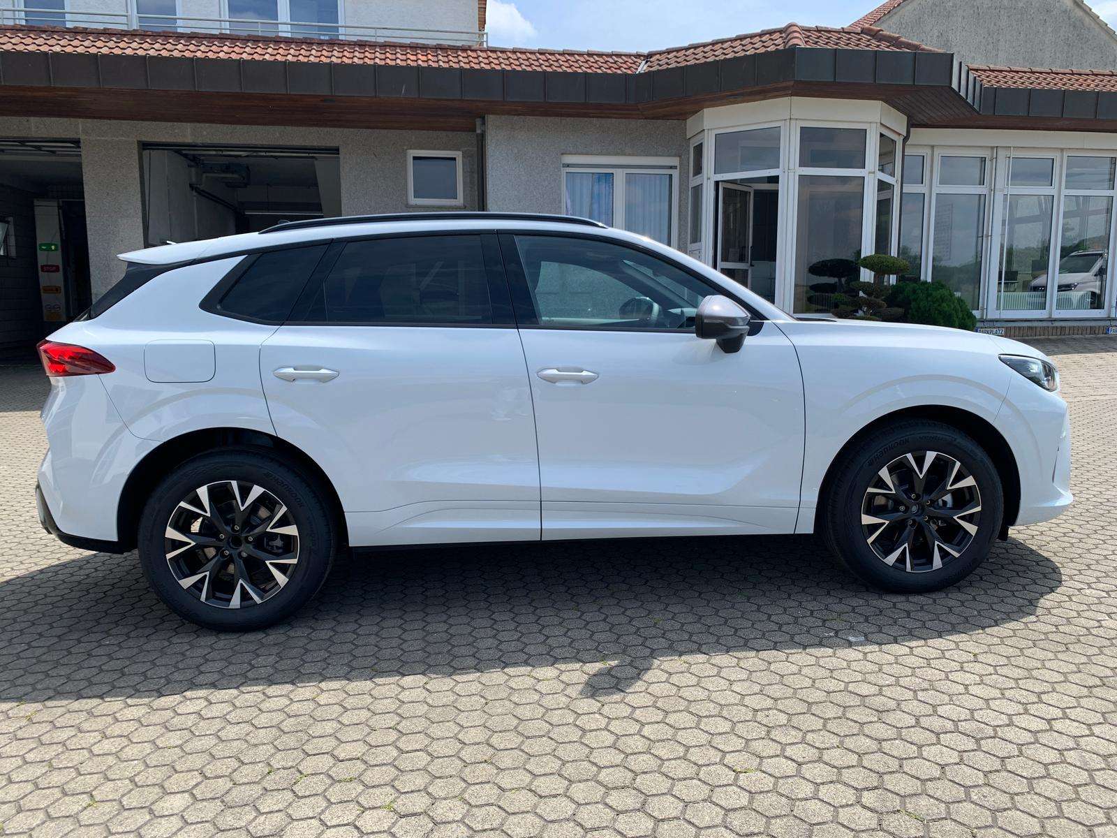 Fahrzeugbild eines CUPRA Terramar