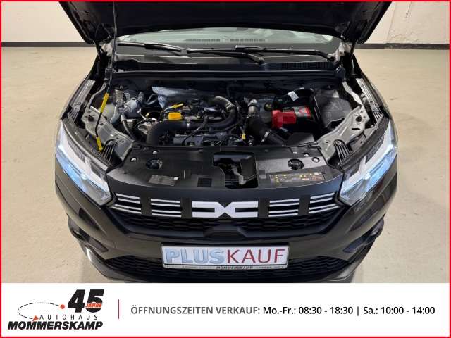 Fahrzeugbild eines Dacia Sandero