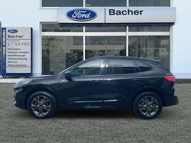 Fahrzeugbild eines Ford Kuga