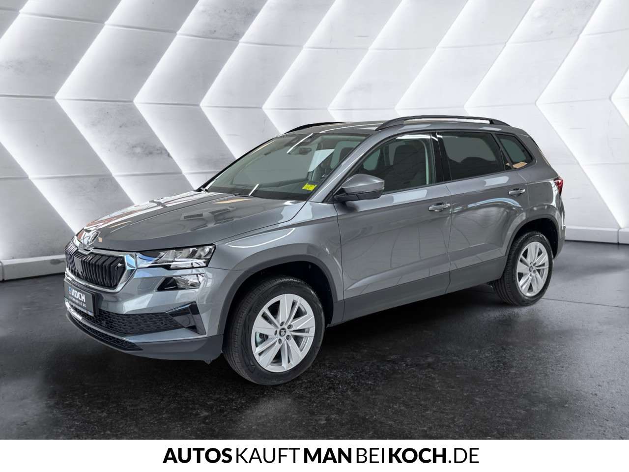 Fahrzeugbild eines Skoda Karoq