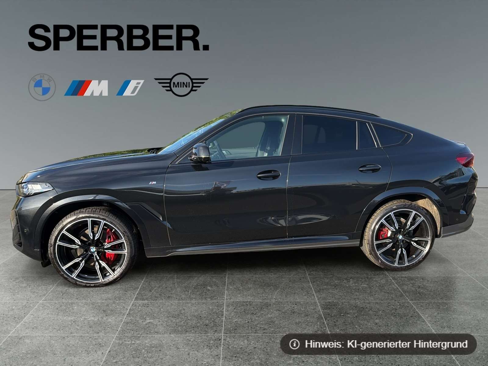 Fahrzeugbild eines BMW X6