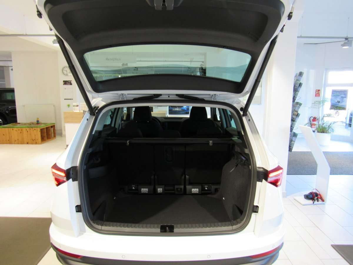 Fahrzeugbild eines Skoda Karoq
