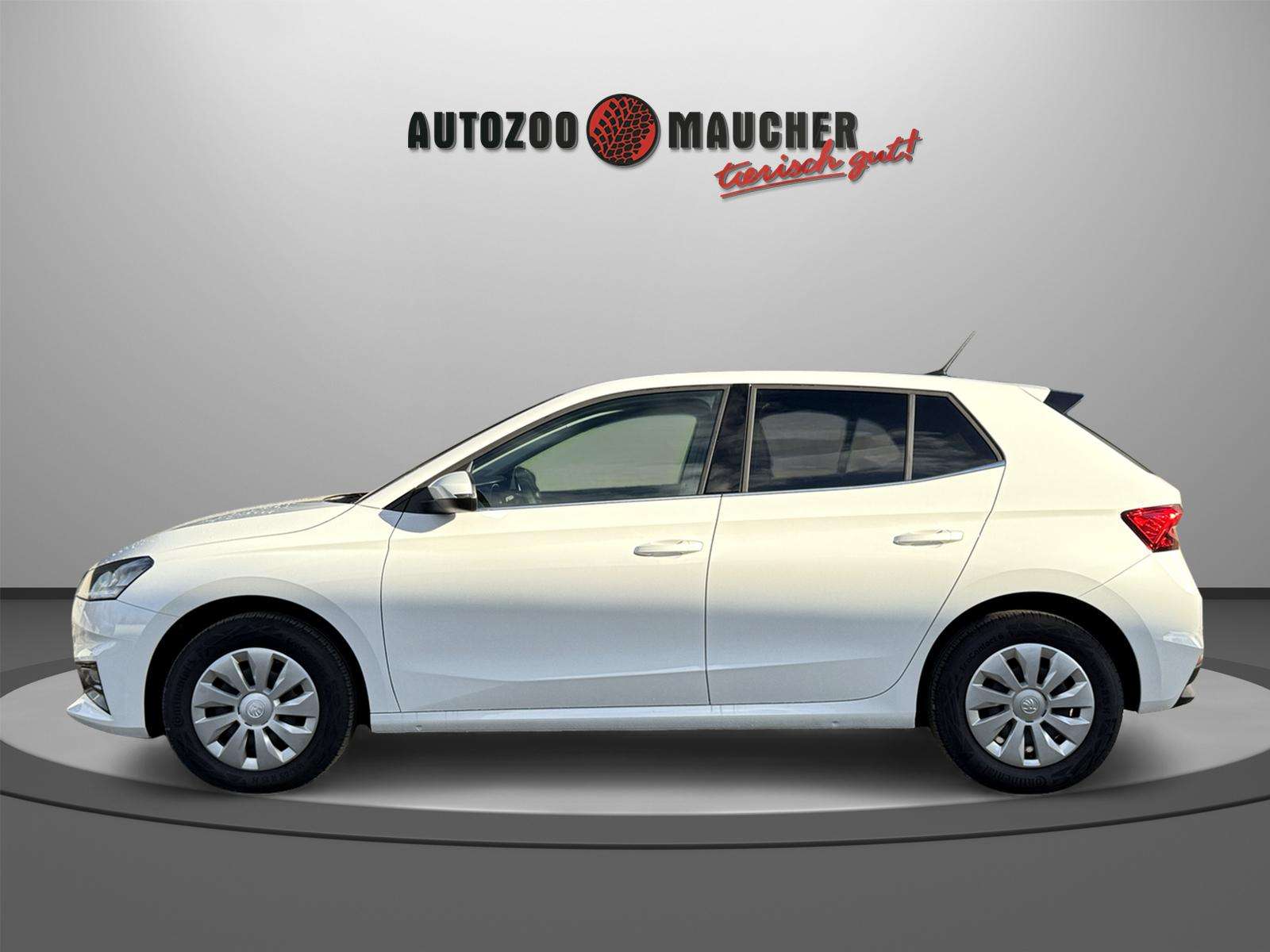 Fahrzeugbild eines Skoda Fabia