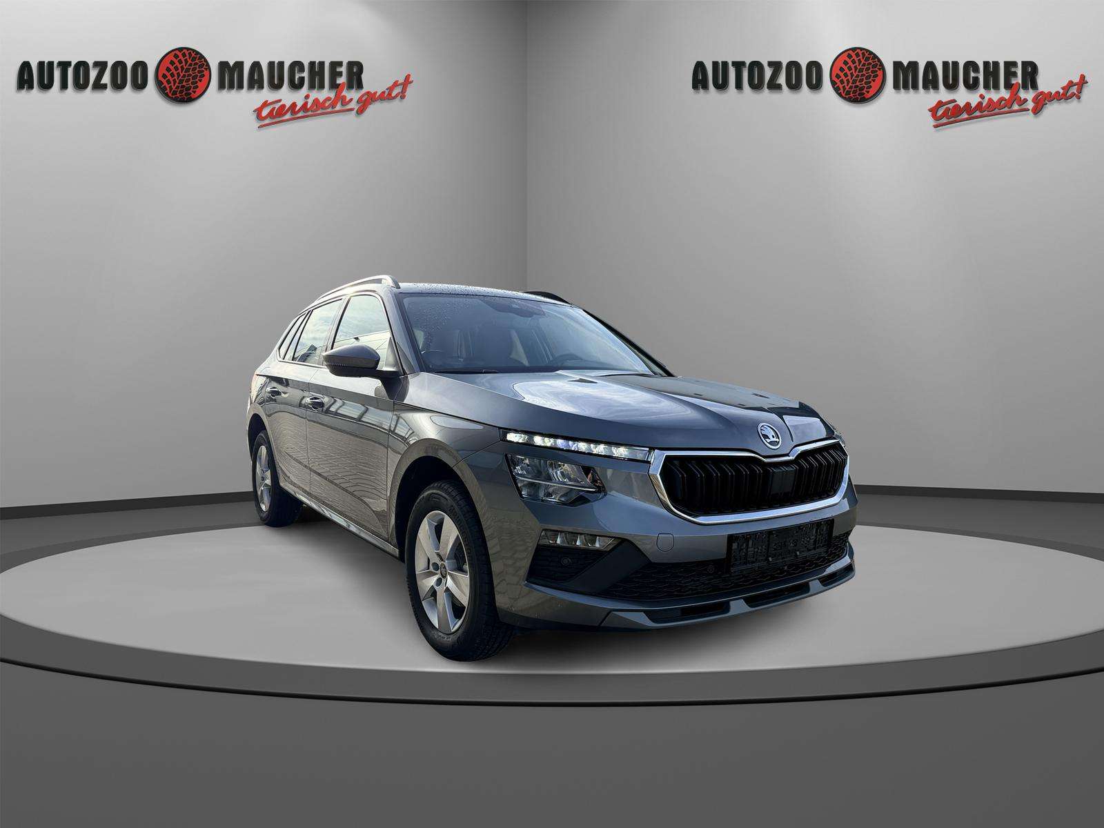 Fahrzeugbild eines Skoda Kamiq