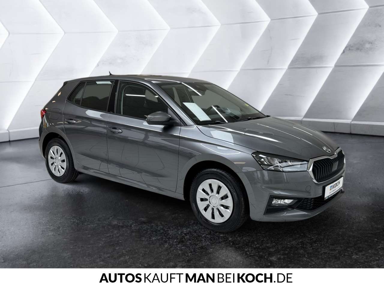 Fahrzeugbild eines Skoda Fabia