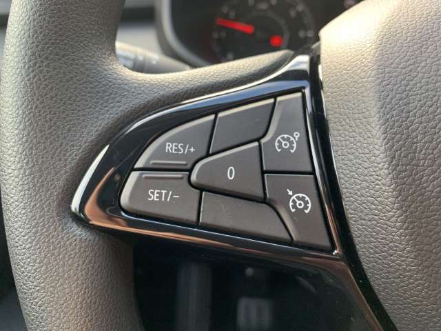 Fahrzeugbild eines Dacia Sandero