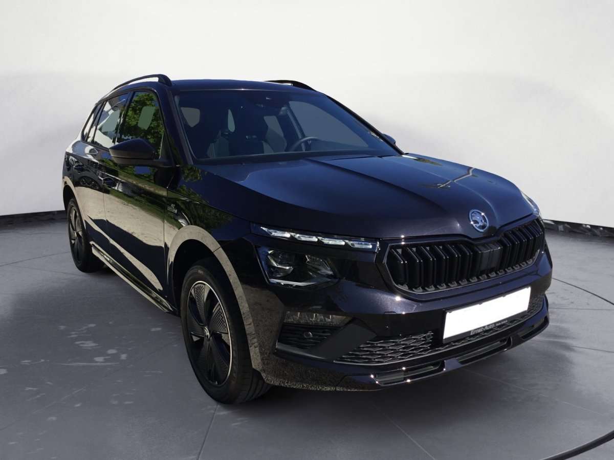 Fahrzeugbild eines Skoda Kamiq