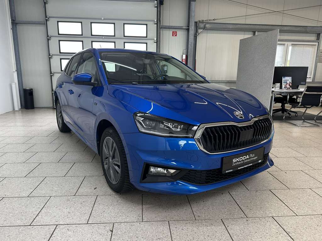 Fahrzeugbild eines Skoda Fabia