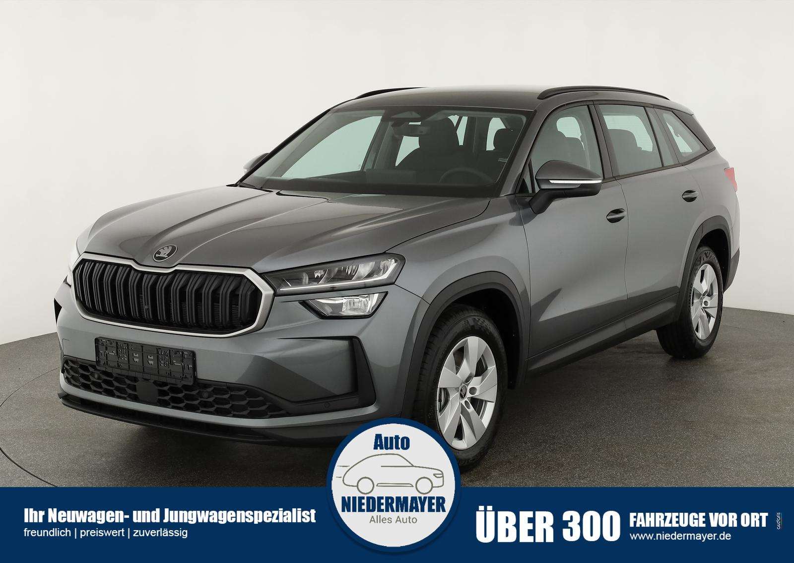 Fahrzeugbild eines Skoda Kodiaq