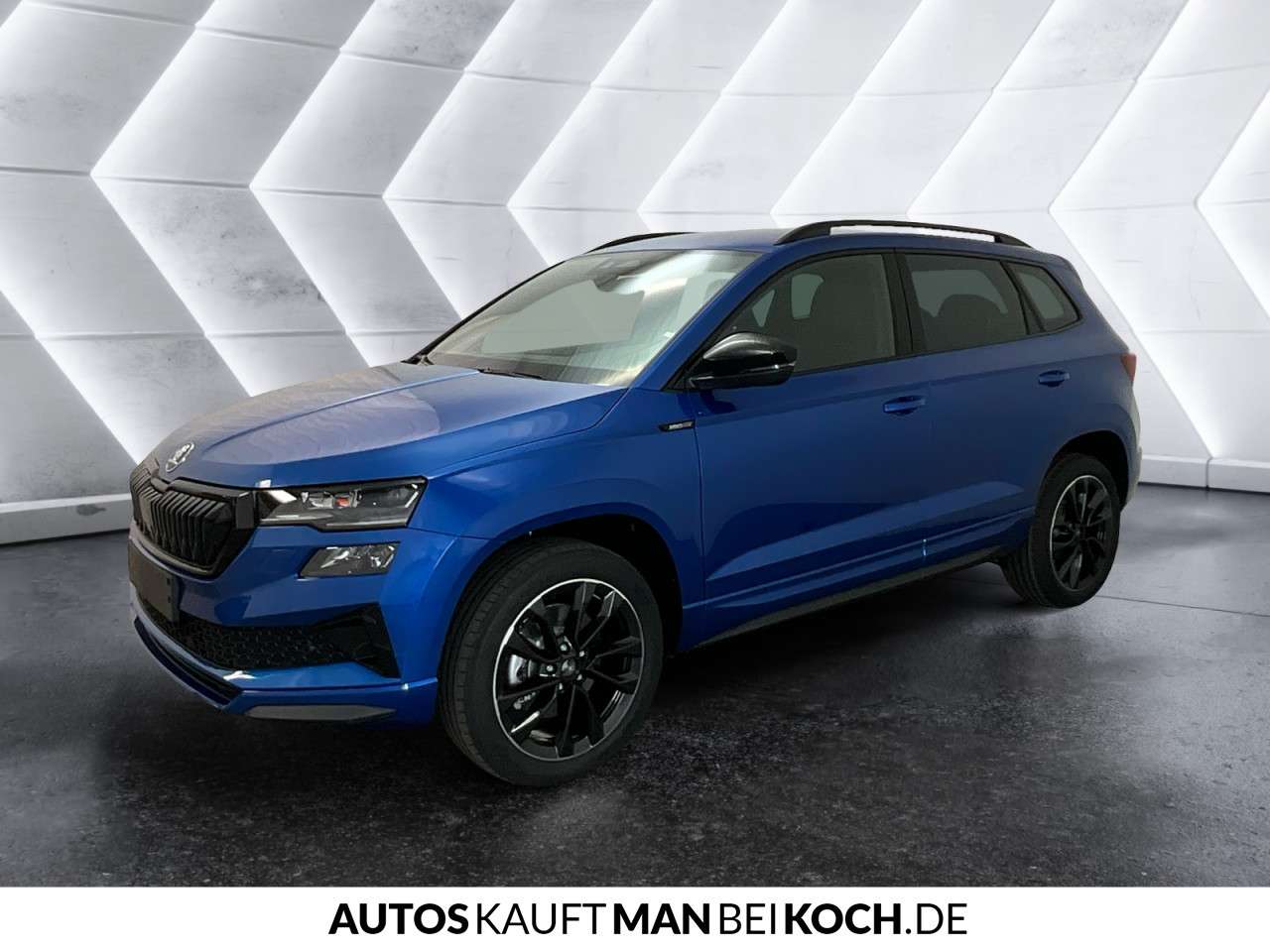Fahrzeugbild eines Skoda Karoq