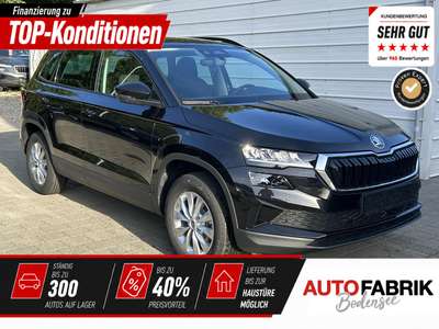 Bild Skoda Karoq