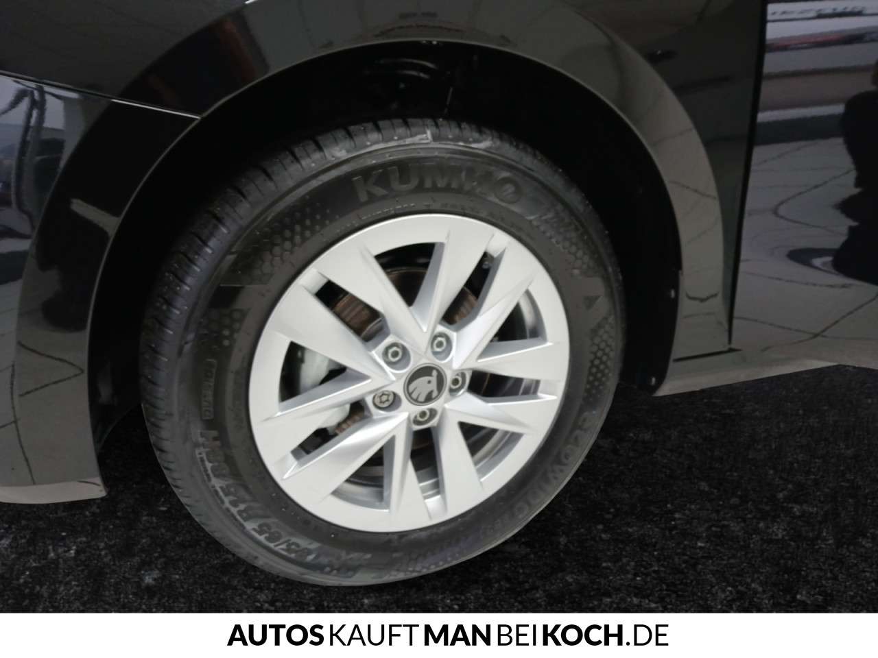 Fahrzeugbild eines Skoda Fabia