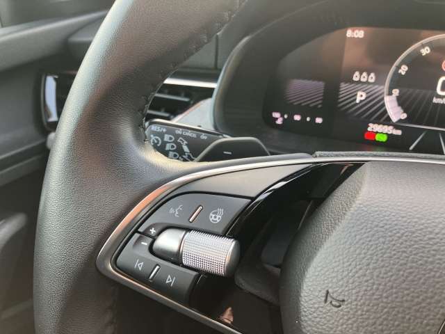 Fahrzeugbild eines Skoda Scala