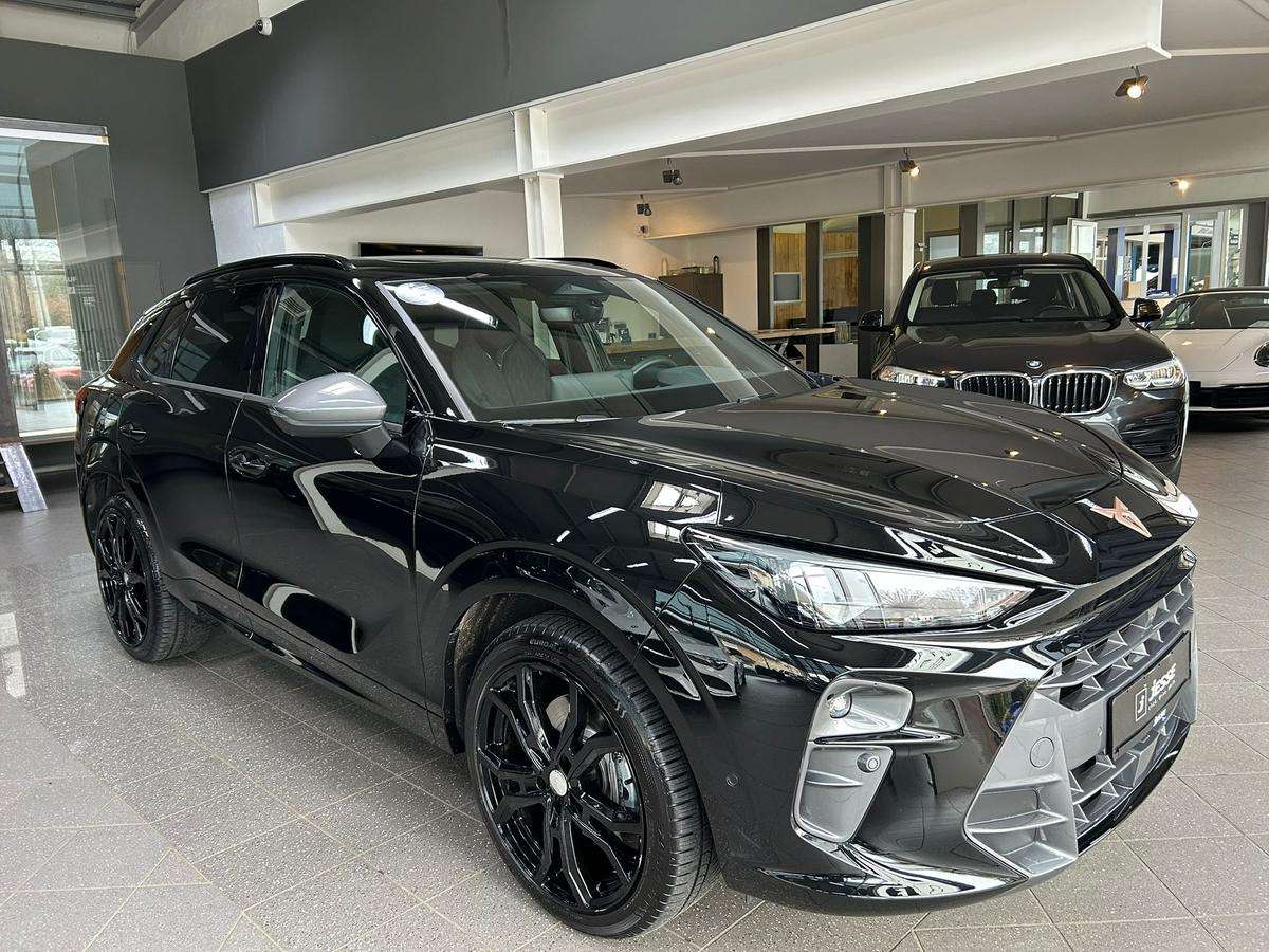 Fahrzeugbild eines CUPRA Terramar