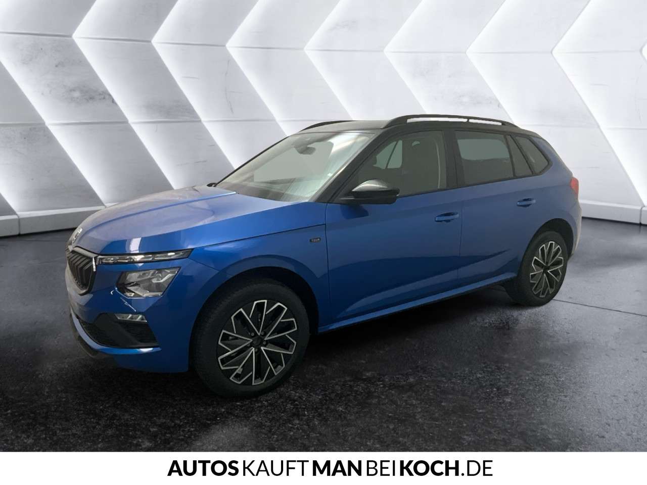 Fahrzeugbild eines Skoda Kamiq