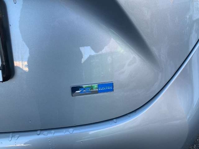 Fahrzeugbild eines Renault ZOE