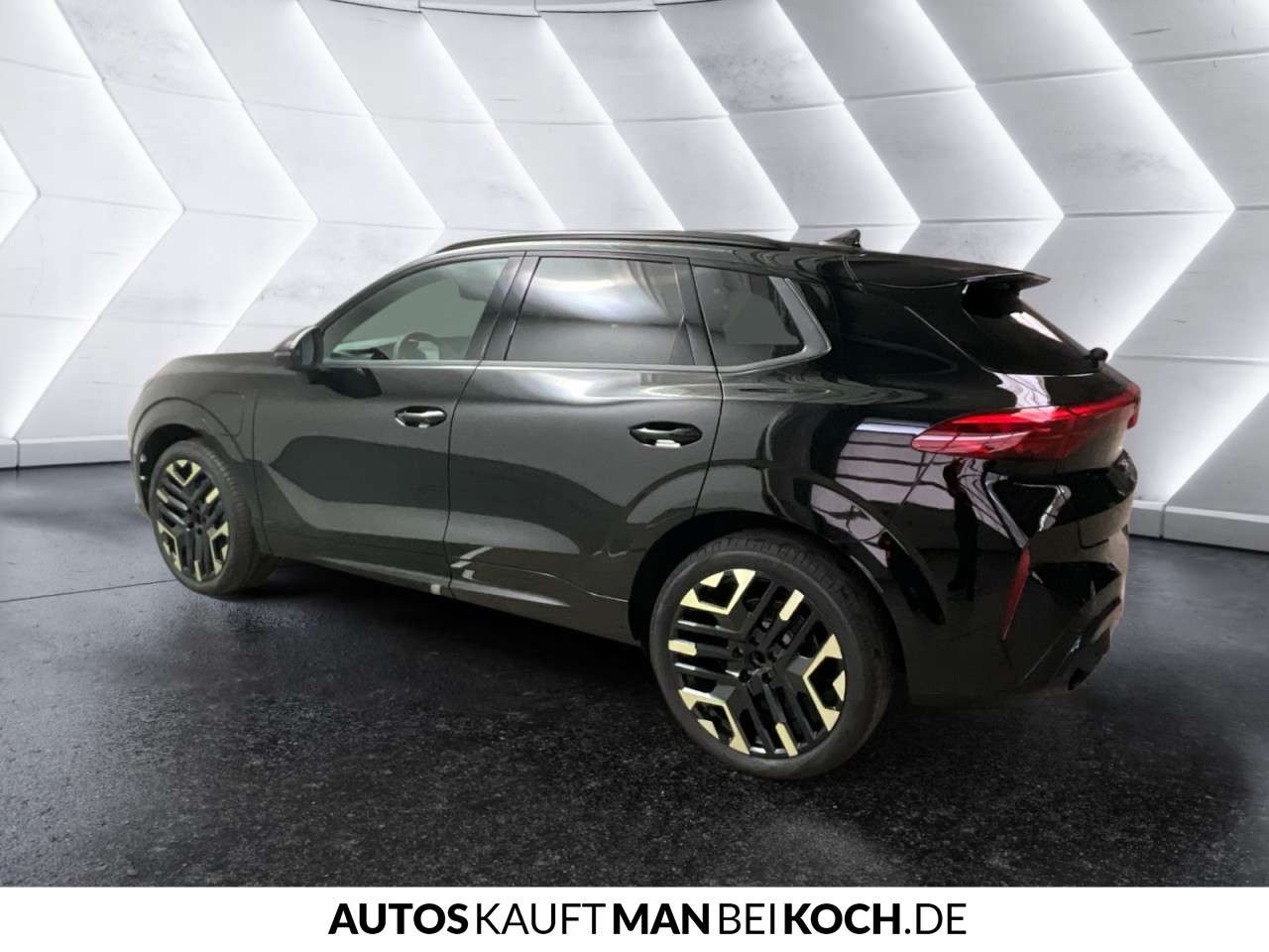 Fahrzeugbild eines CUPRA Terramar