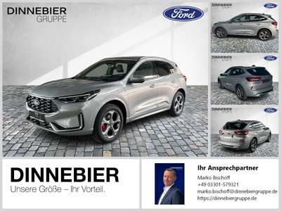 Bild Ford Kuga