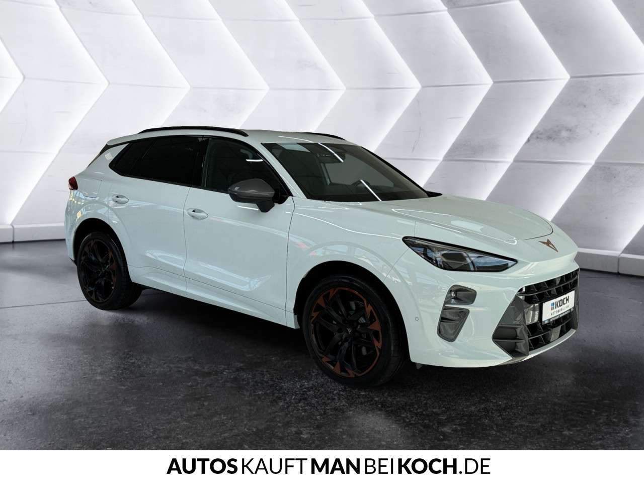 Fahrzeugbild eines CUPRA Terramar