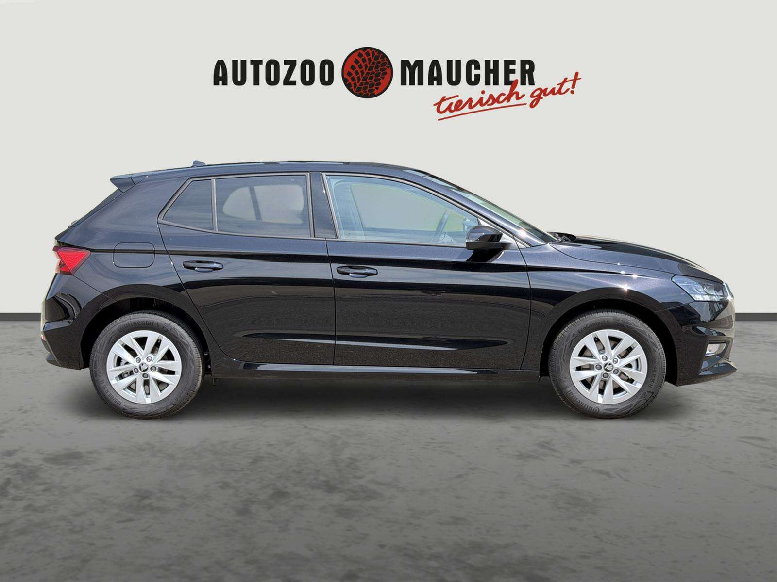 Fahrzeugbild eines Skoda Fabia