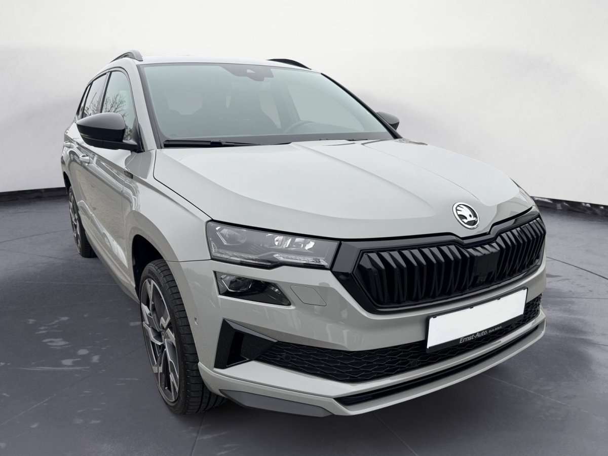 Fahrzeugbild eines Skoda Karoq