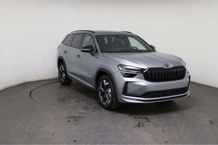Fahrzeugbild eines Skoda Kodiaq