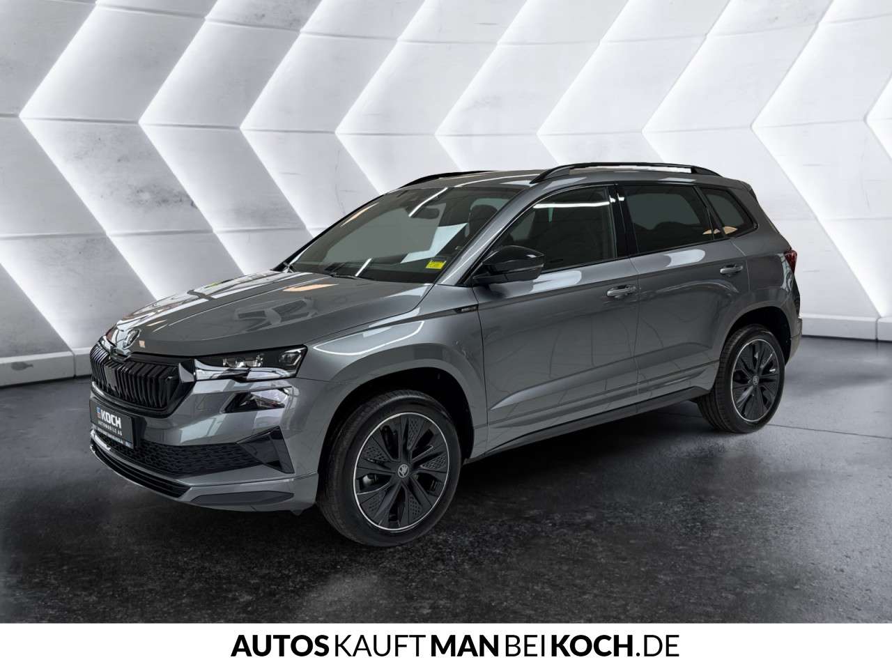 Fahrzeugbild eines Skoda Karoq