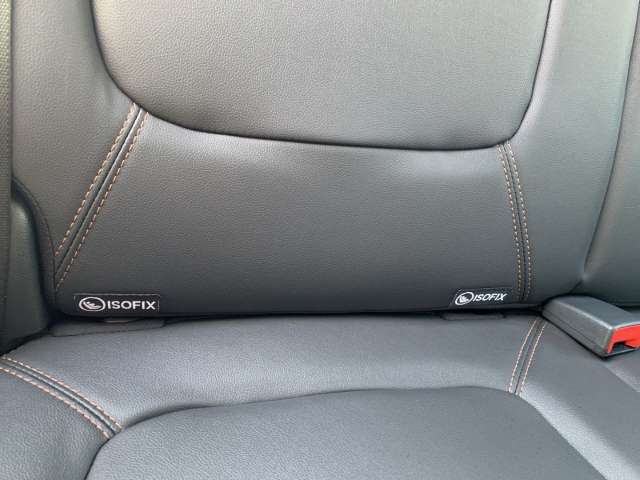 Fahrzeugbild eines Dacia Spring