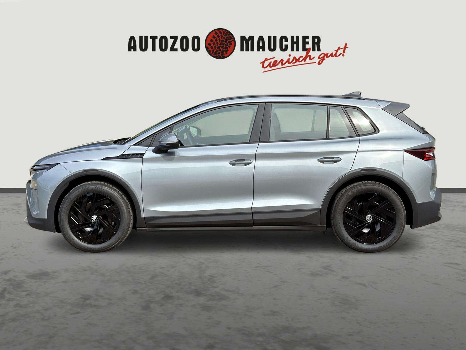 Fahrzeugbild eines Skoda ELROQ
