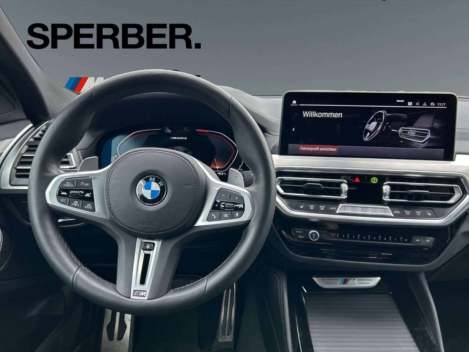 Fahrzeugbild eines BMW X4