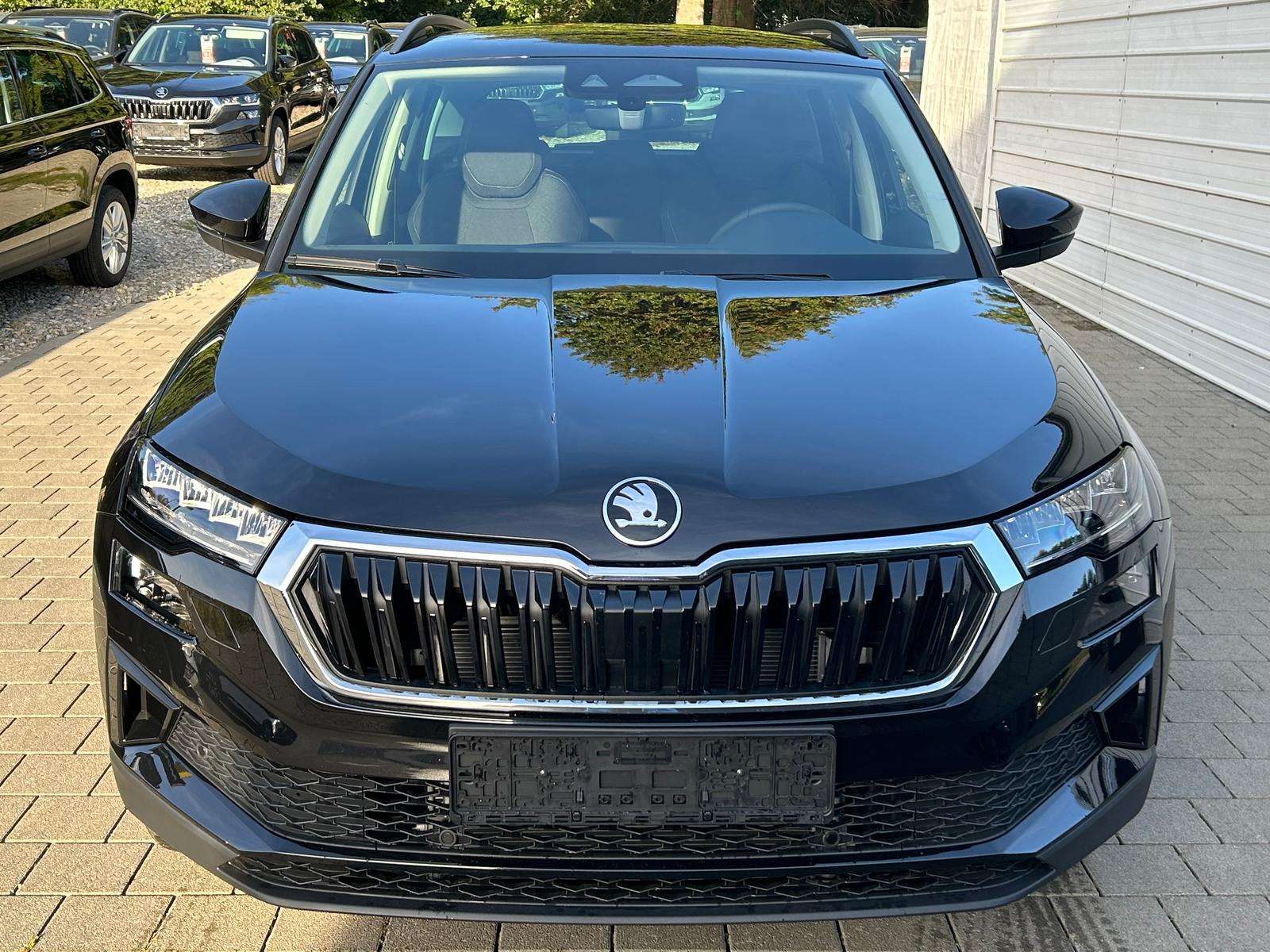 Fahrzeugbild eines Skoda Karoq