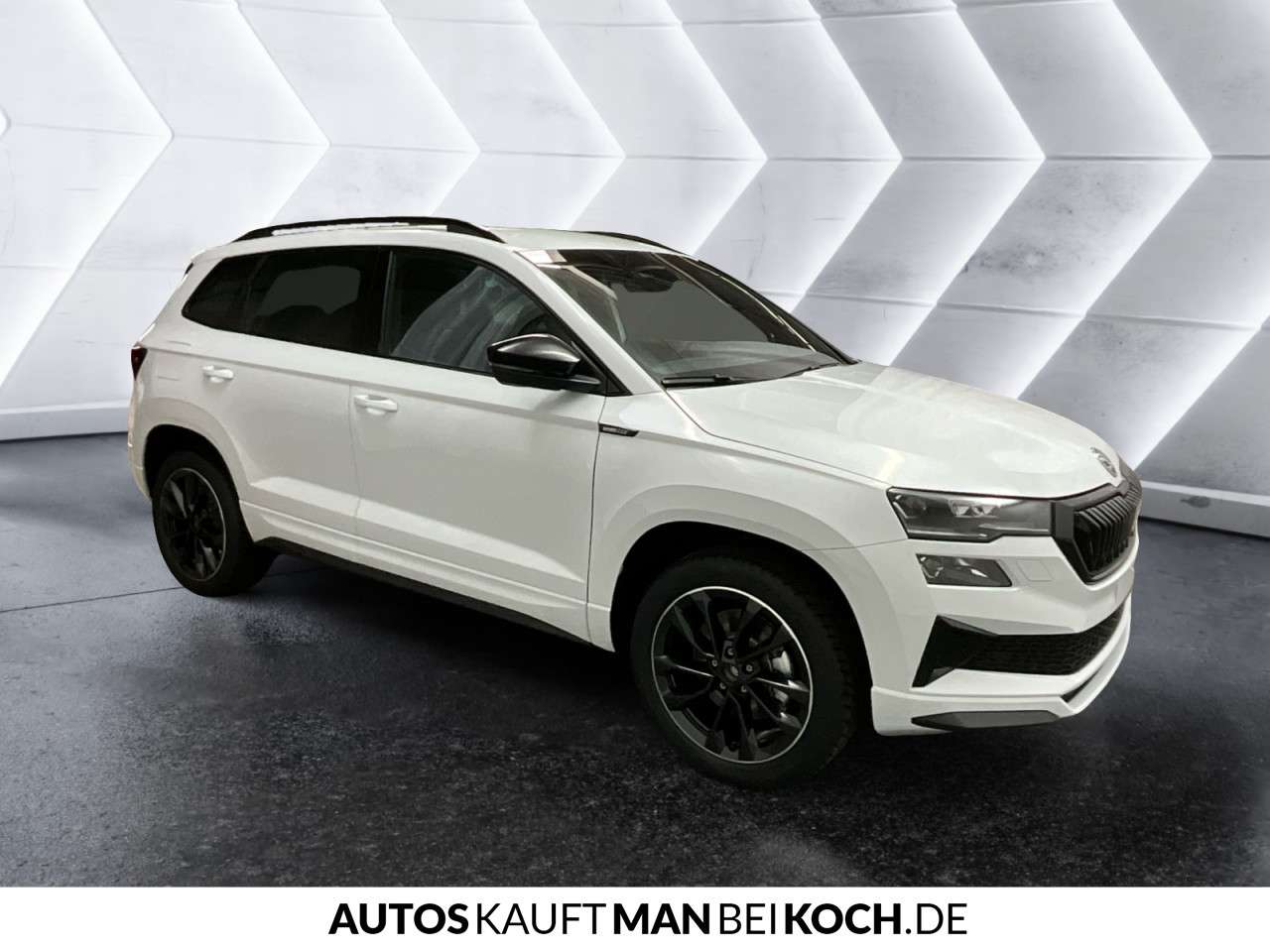 Fahrzeugbild eines Skoda Karoq