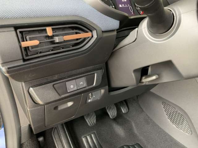 Fahrzeugbild eines Dacia Sandero