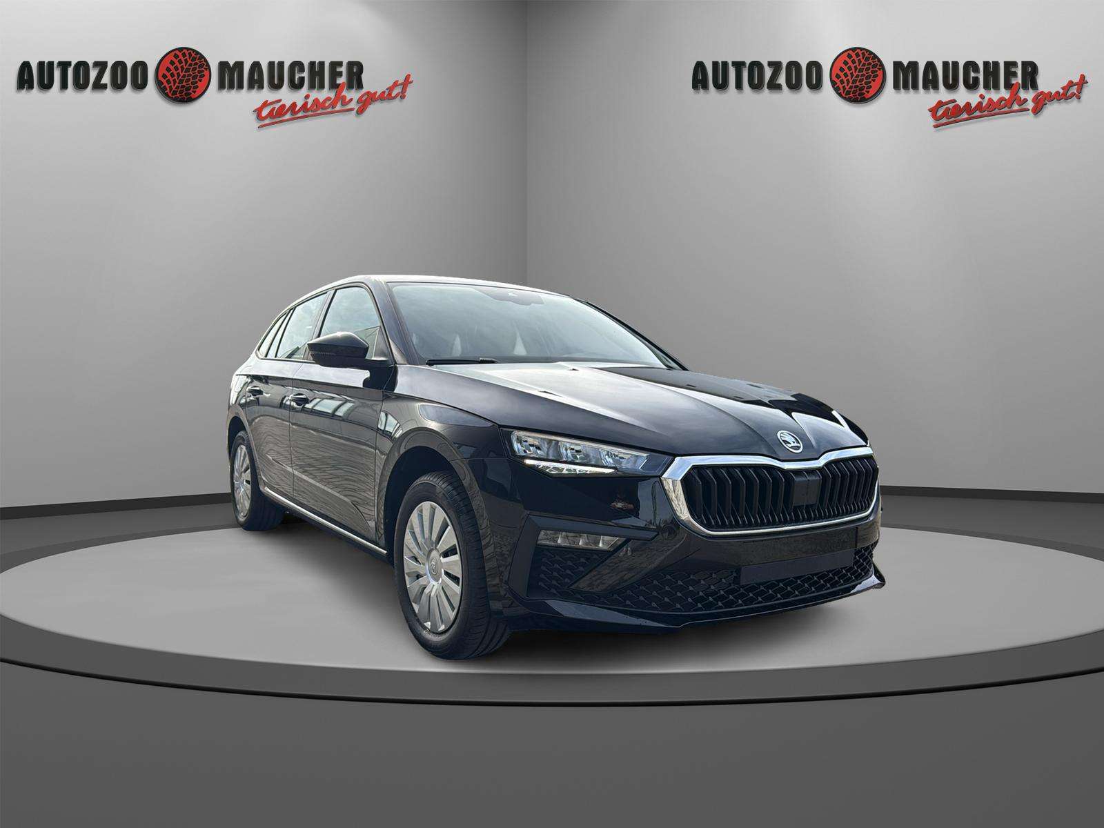 Fahrzeugbild eines Skoda Scala