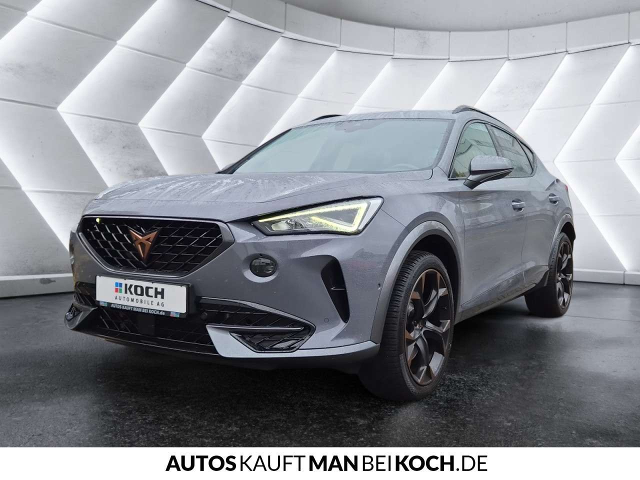 Fahrzeugbild eines CUPRA Formentor